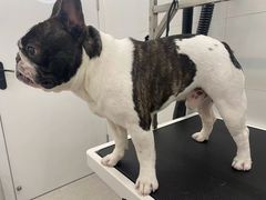 -comecome来吧宠物(奥克斯中心店)