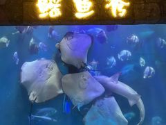 -合肥海洋世界