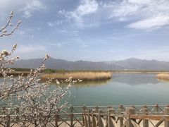 -野鸭湖国家湿地公园