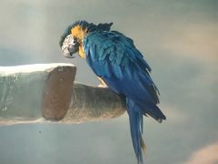 -石家庄市动物园