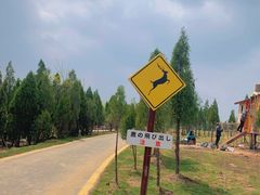 -伏羲山旅游区