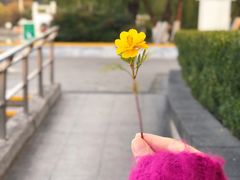 -月湖风景区