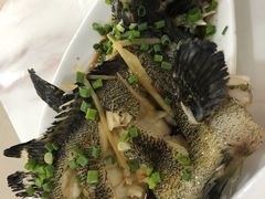 -南海渔家•海鲜•正宗海南菜(海棠湾店)