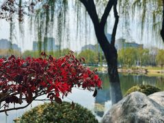 -后襄河公园