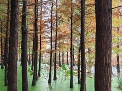 -云龙湖旅游景区