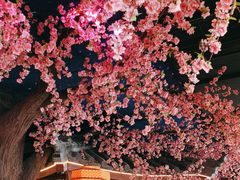 -荷塘秋月·本帮江浙菜(国权路店)