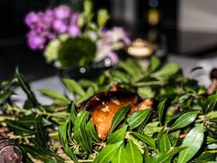 -蝶舍·MAISON PAPILLON