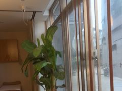 -筋骨堂热敷推拿按摩(枫林绿洲店)