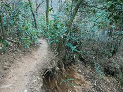 -安吉龙王山风景区
