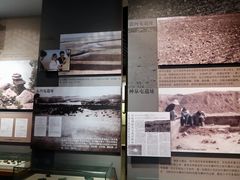 -齐齐哈尔市博物馆