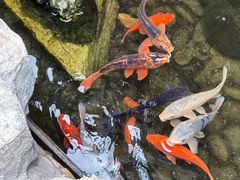 -道成印象餐厅(廿八都古镇店)