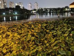 -箸福·夜上海(月牙湖公园店)