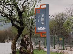 -大九湖