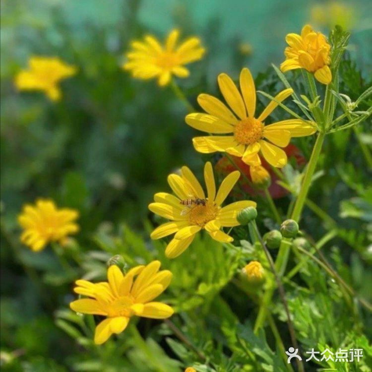 春天到了🌸带着孩子一起去亲近大自然吧[吐][吐]