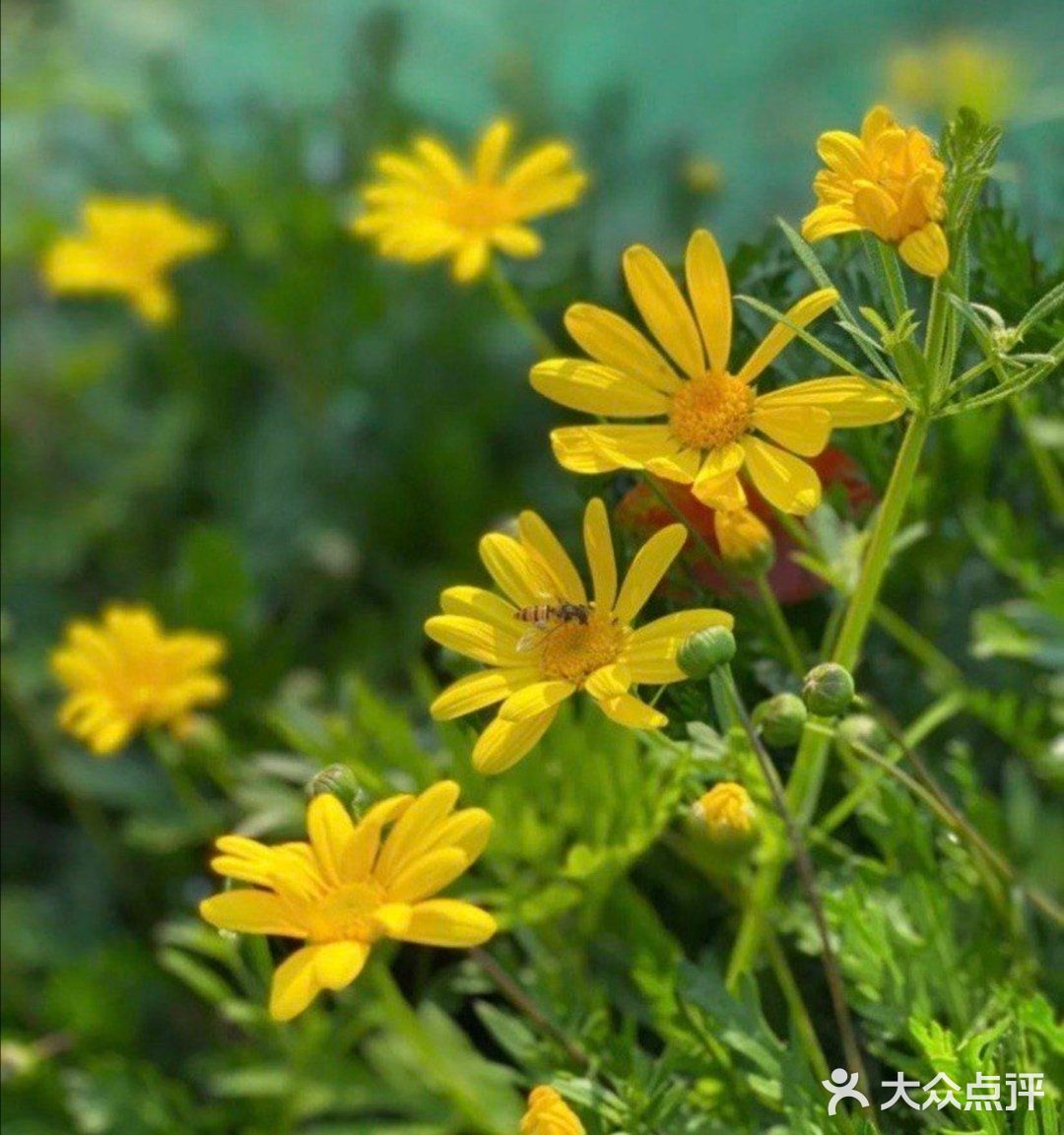春天到了🌸带着孩子一起去亲近大自然吧[吐][吐]