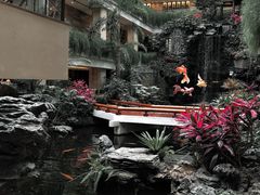 -广州白天鹅宾馆