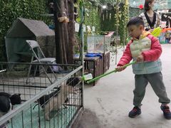 -史努比缤纷世界