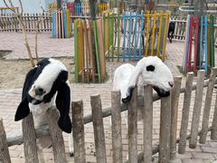 -水上乐园·欢乐世界