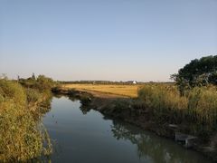 -梁鸿国家湿地公园