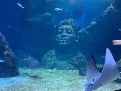 -暹罗海洋世界