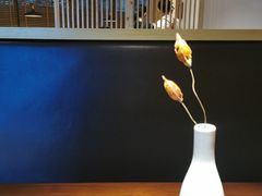 -山杏yama-katsu·吉列炸物