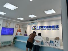 -北京观赏动物医院·24小时大型综合·猫专科·异宠专科