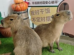 -盈香心动乐园
