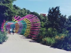 -南戴河国际娱乐中心