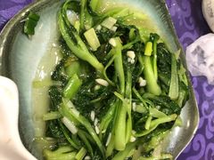 鸡毛菜-威海渔村(静安旗舰店)
