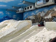 -世界之窗阿尔卑斯冰雪世界