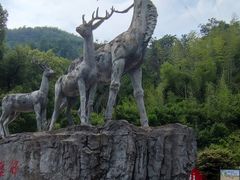 -长沙黑麋峰国家森林公园
