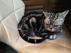 -小时光咖啡馆(北锣鼓巷店)
