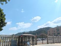 -悦城龙母祖庙