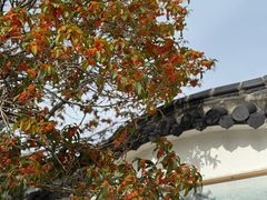 -海宁市观音寺