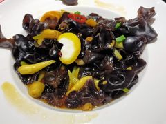 -新东坡酒楼(报社街店)