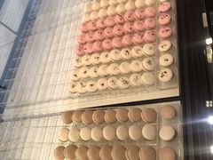 -BLACKSWAN黑天鹅(环球店)