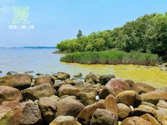 -上海吴淞炮台湾国家湿地公园