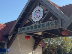 -上海海湾国家森林公园