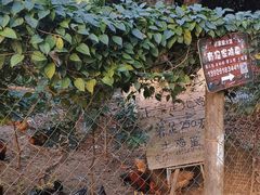 -风云岭森林公园