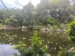 -叶家花园