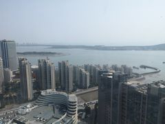 -柴犬小屋·柴餐厅·狗咖食堂(金鼎广场店)