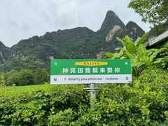-明仕田园