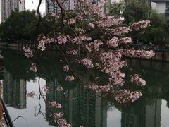 -红星桥(地铁站)