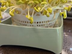 -巴倒烫陆派火锅山庄(南山总店)