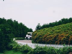 -迪茵湖田家舍生态农场