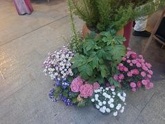 -老鼎万春卤菜(五代传承创始老店)