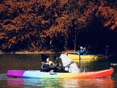 -上海海湾国家森林公园