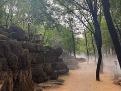-红嫂家乡旅游区
