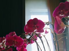 -喜湘宴·精致湖南菜(和平西桥店)