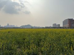 -光明小镇欢乐田园